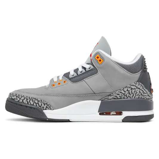 Air Jordan 3 Retro Cool Grey (2021)